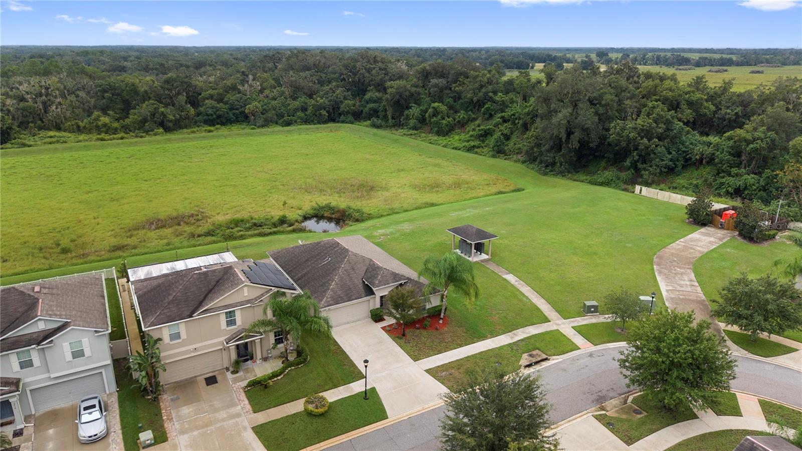 3414 KEARSNEY ABBEY CIR — photo 42