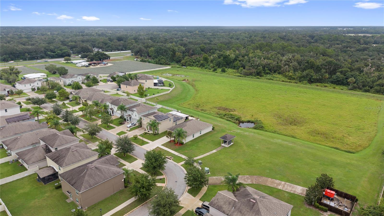 3414 KEARSNEY ABBEY CIR — photo 38