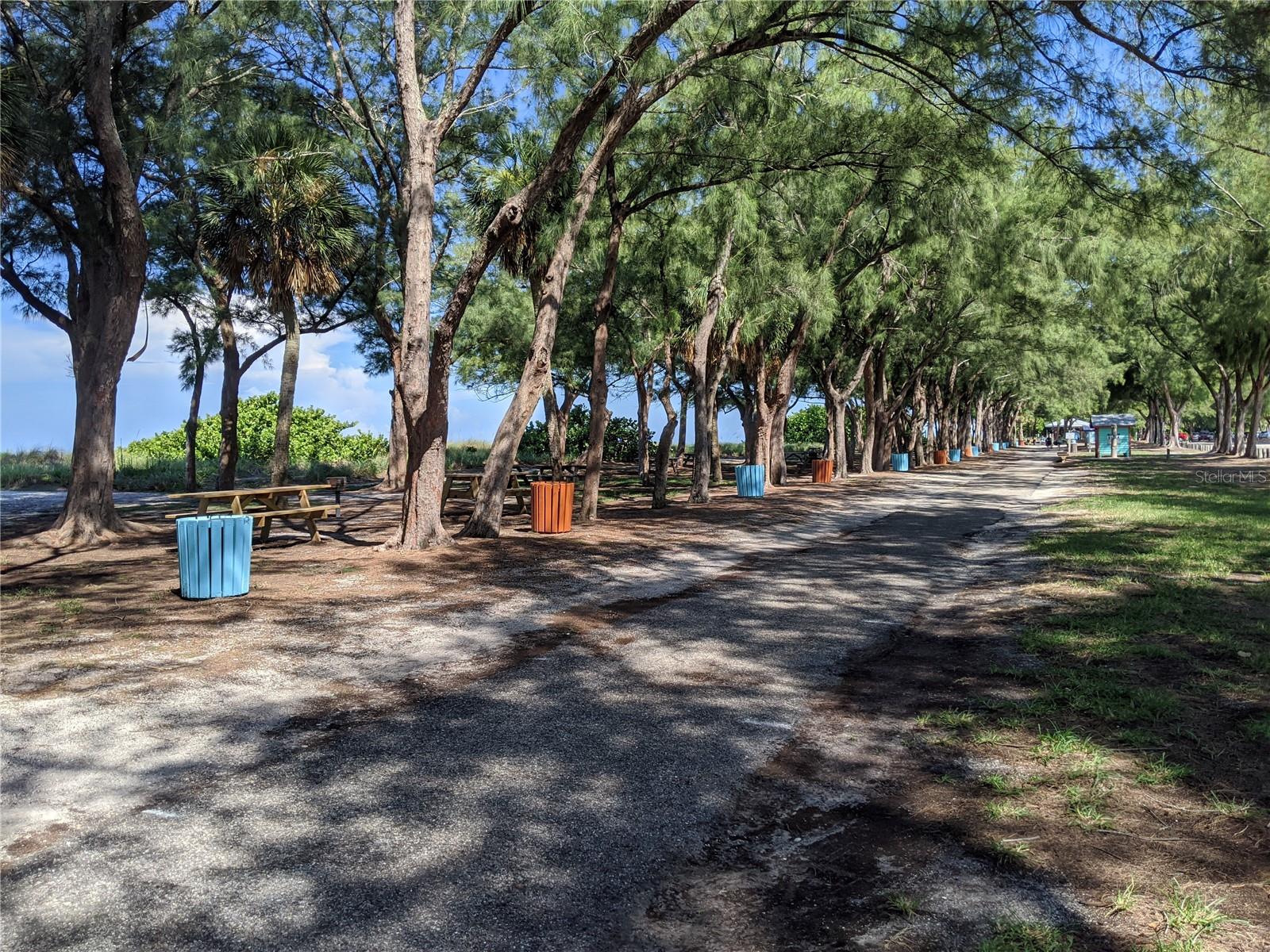 3570 LAKE BAYSHORE DR #K-206 — photo 33