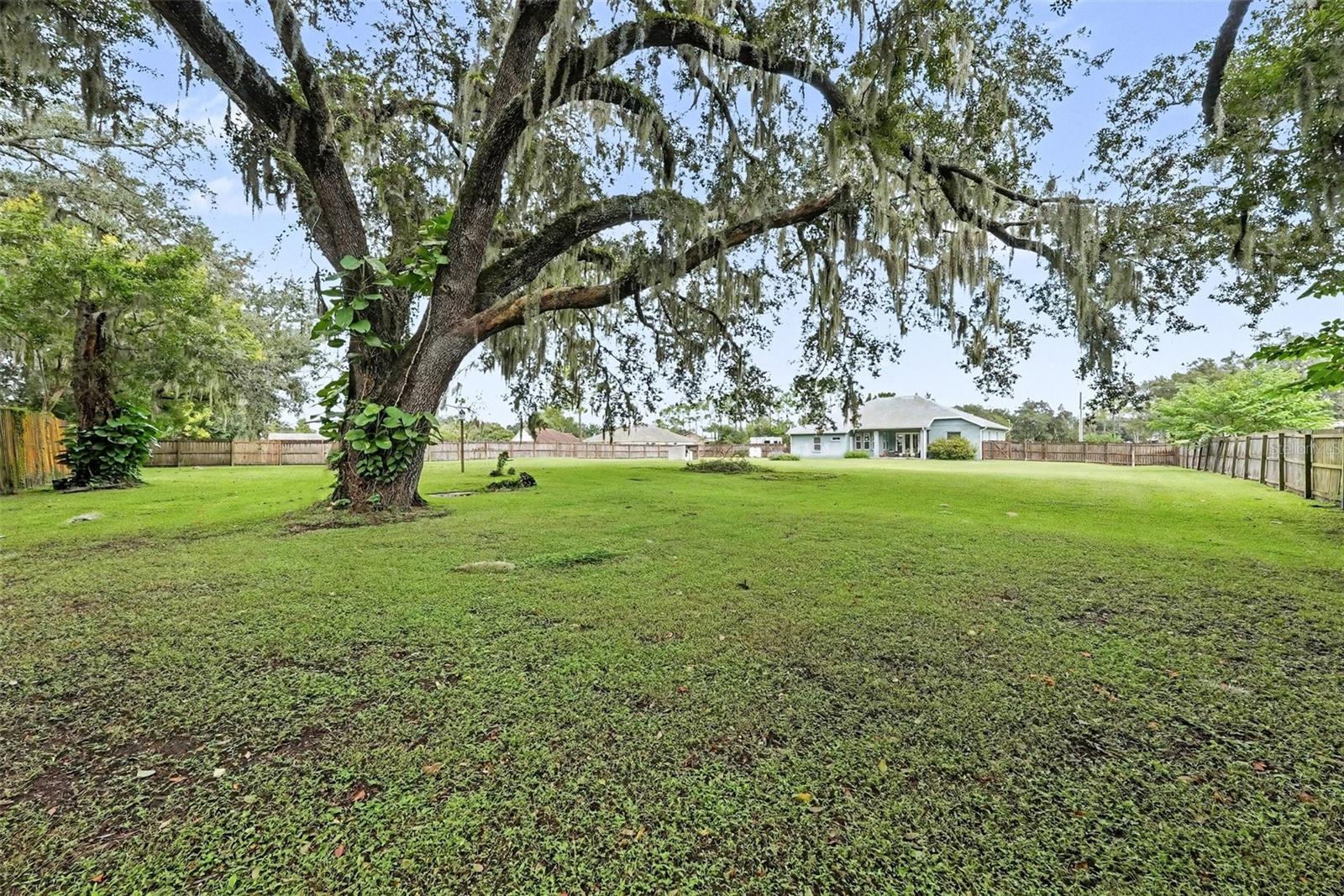 6207 STORCK ACRES LN — photo 54