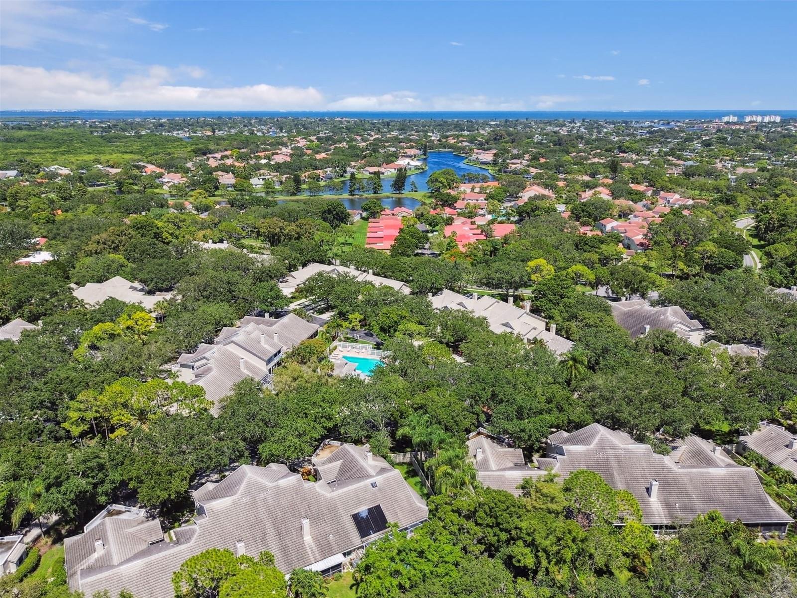 435 DATE PALM CT NE — photo 46