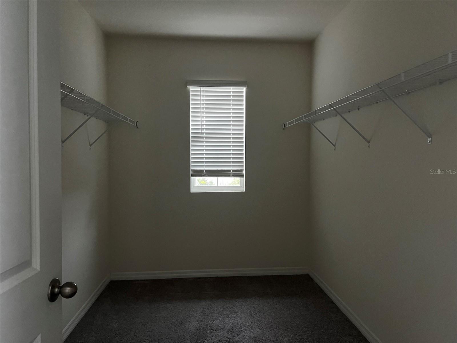 31218 PENNY SURF LOOP — photo 11