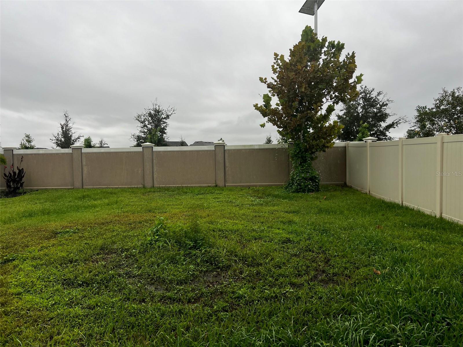 31218 PENNY SURF LOOP — photo 20