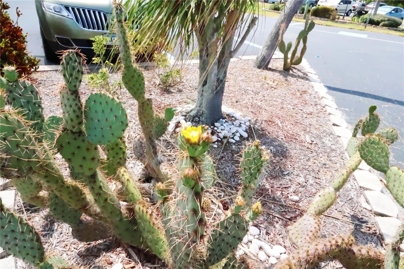 4206 HERON WAY #B305 — photo 17