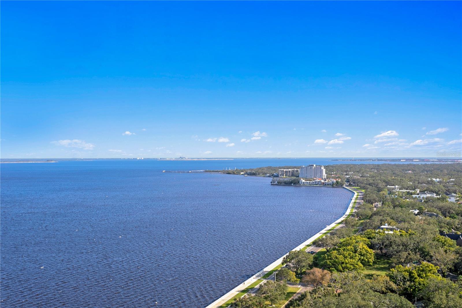 4201 BAYSHORE BLVD #2101 — photo 81