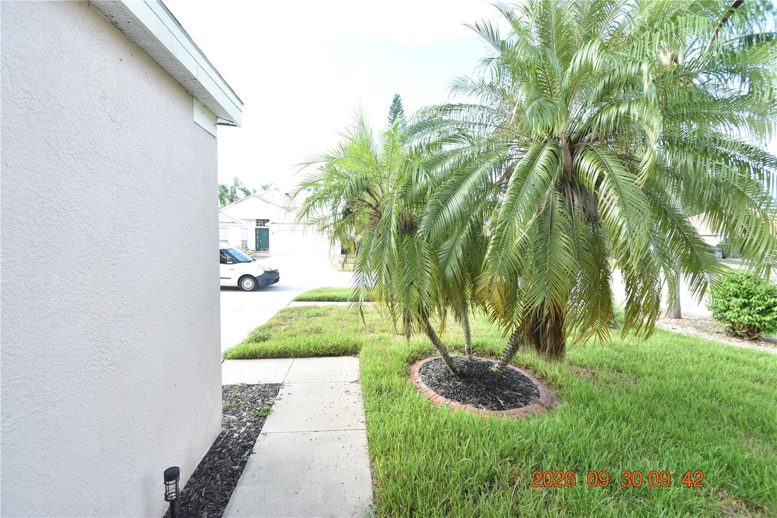 12103 DAWN VISTA DR — photo 6