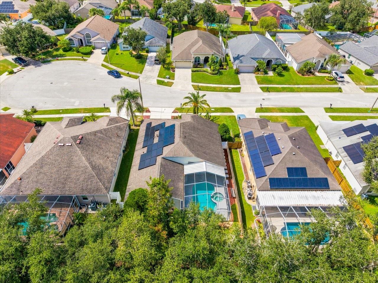 18009 PALM BREEZE DR — photo 62