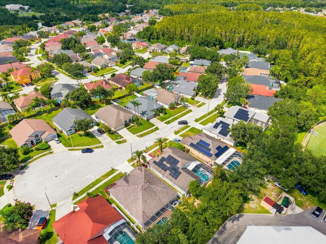18009 PALM BREEZE DR — photo 63
