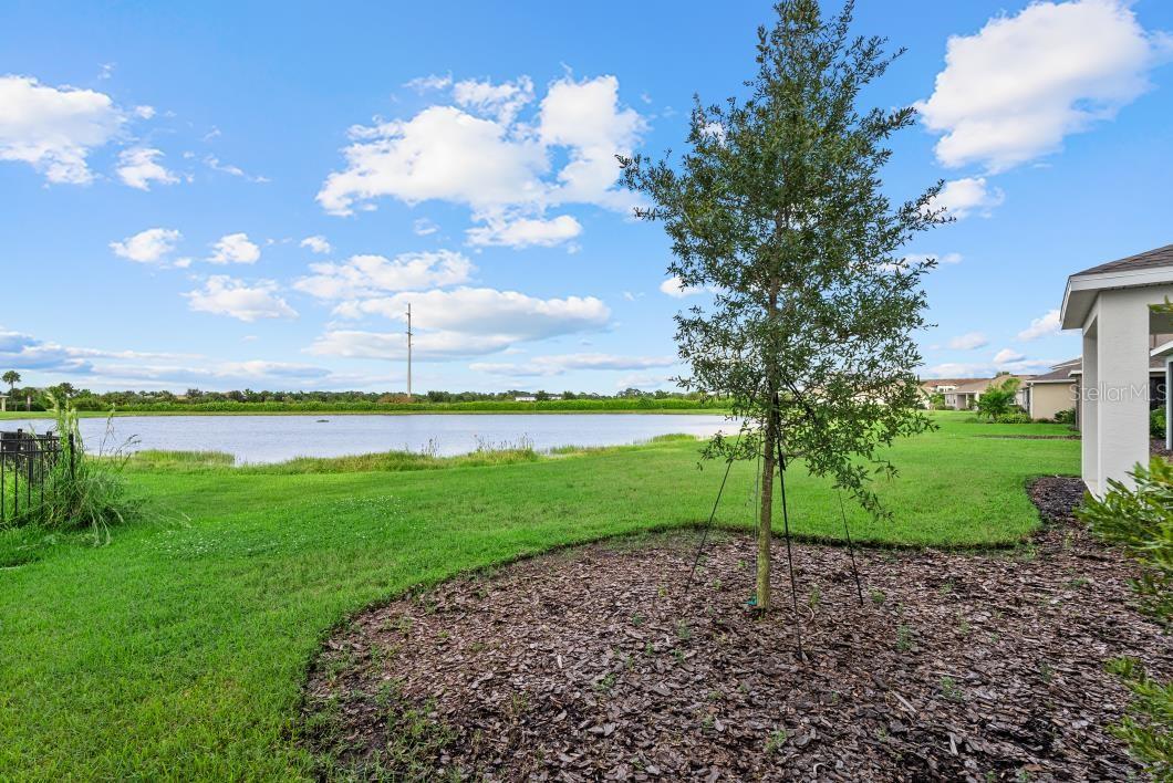 5728 WOODLAND SAGE DR — photo 36