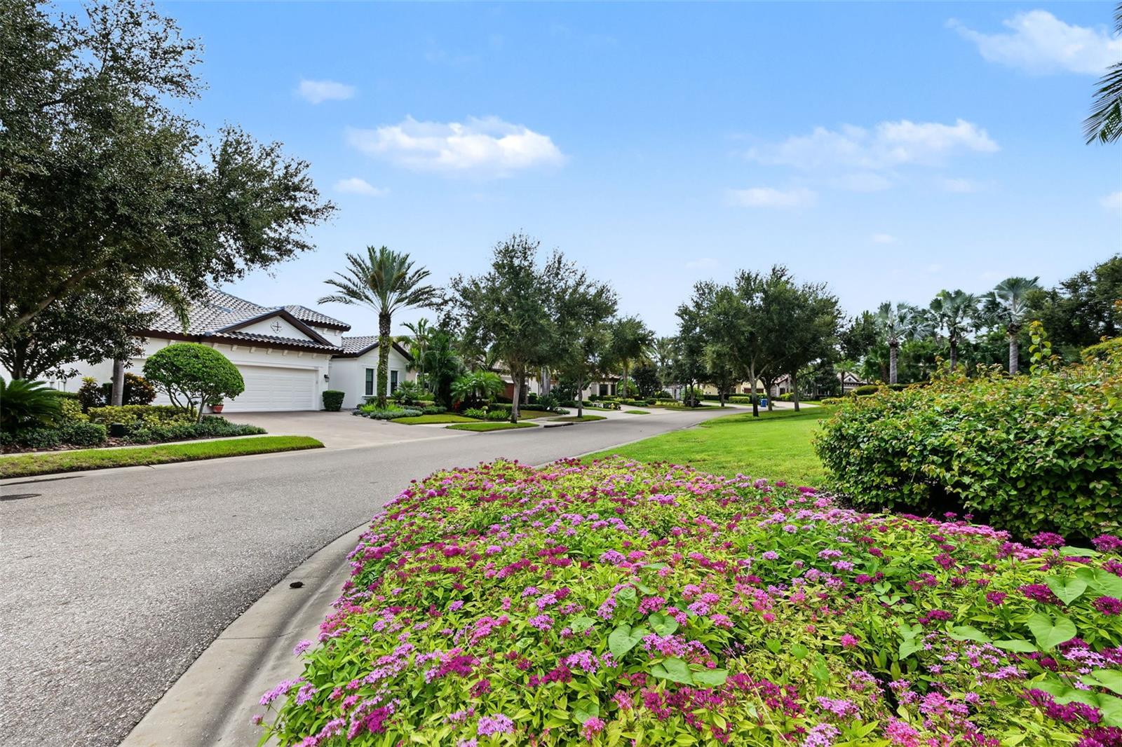 1366 VIA VERDI DR — photo 4