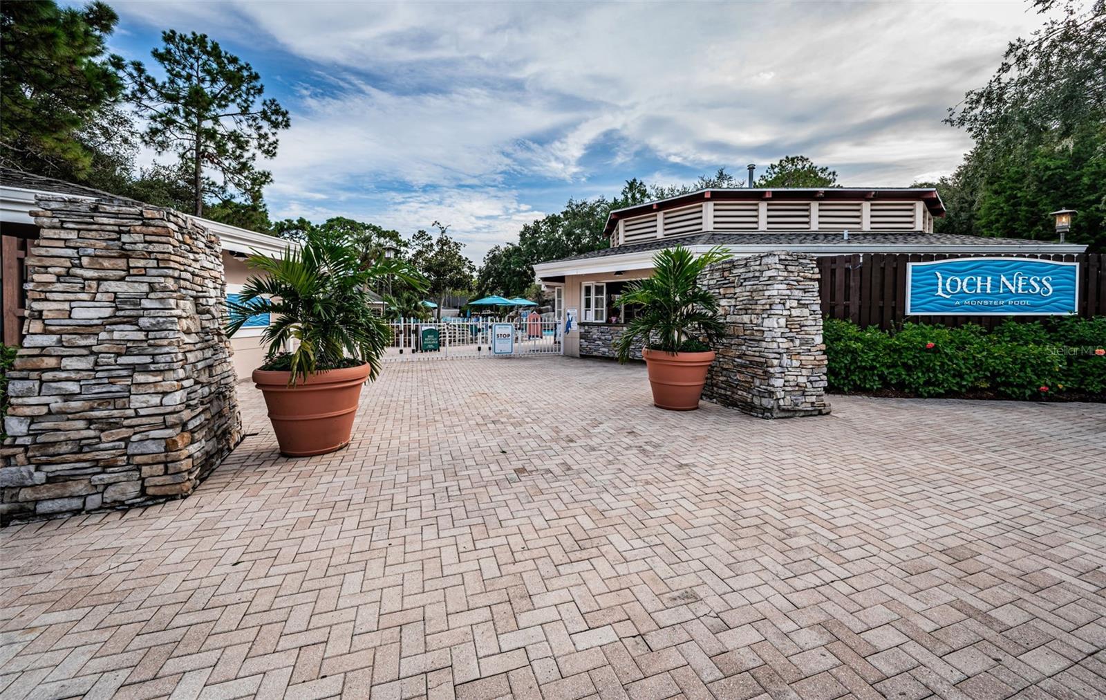 1366 VIA VERDI DR — photo 67