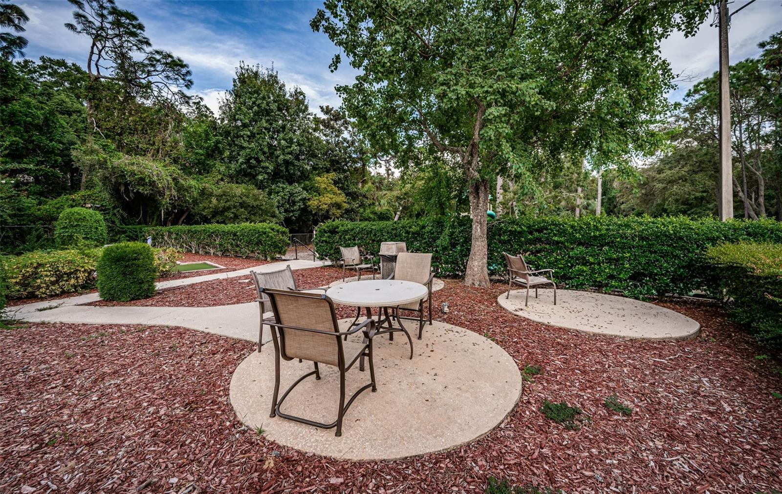1366 VIA VERDI DR — photo 61
