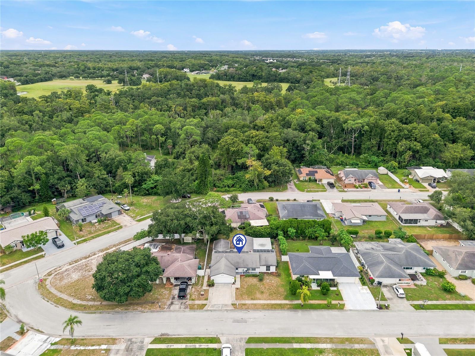 6236 HOPEWELL DR — photo 45