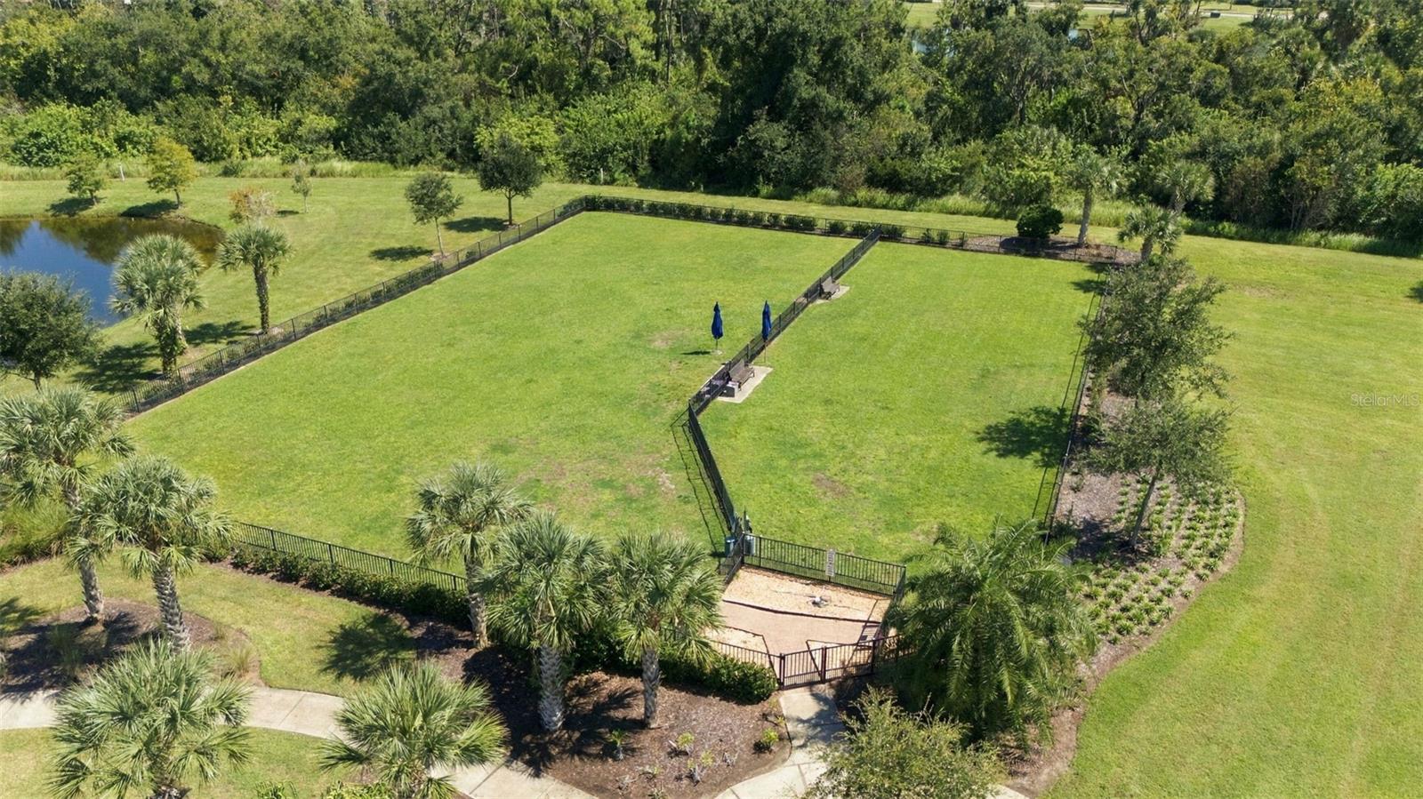 13316 SAW PALM CREEK TRL — photo 48