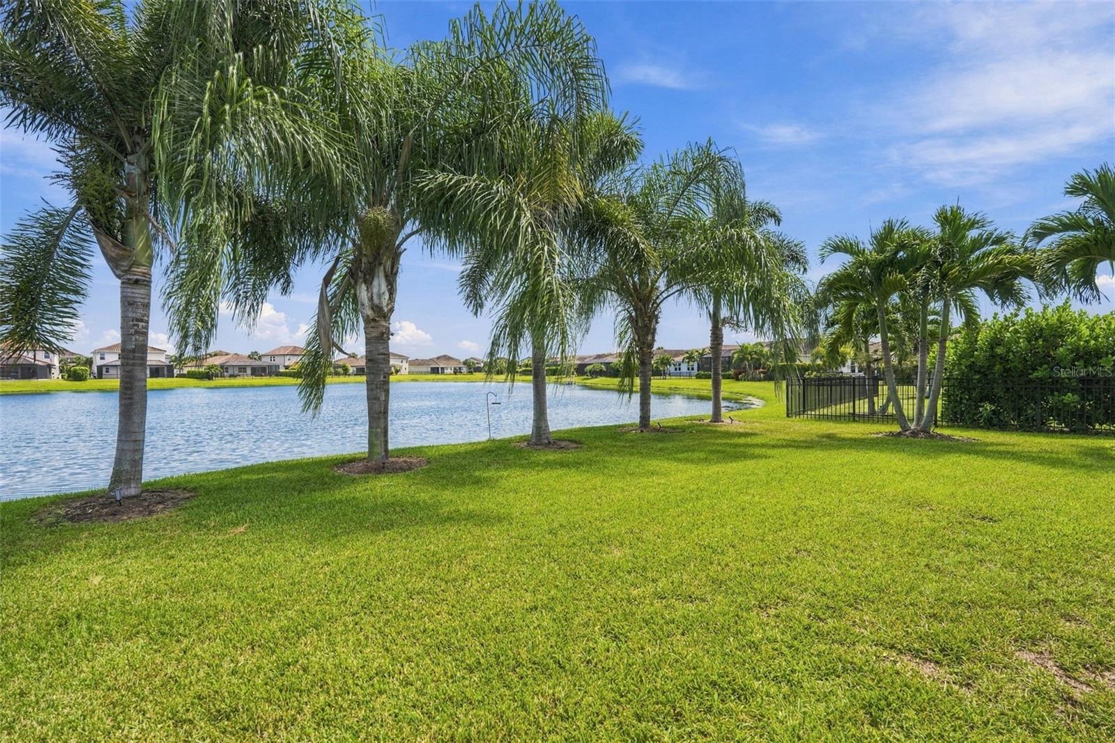 13316 SAW PALM CREEK TRL — photo 33
