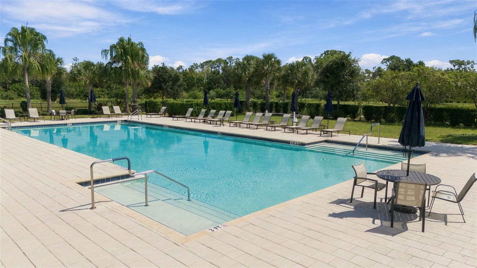 13316 SAW PALM CREEK TRL — photo 42