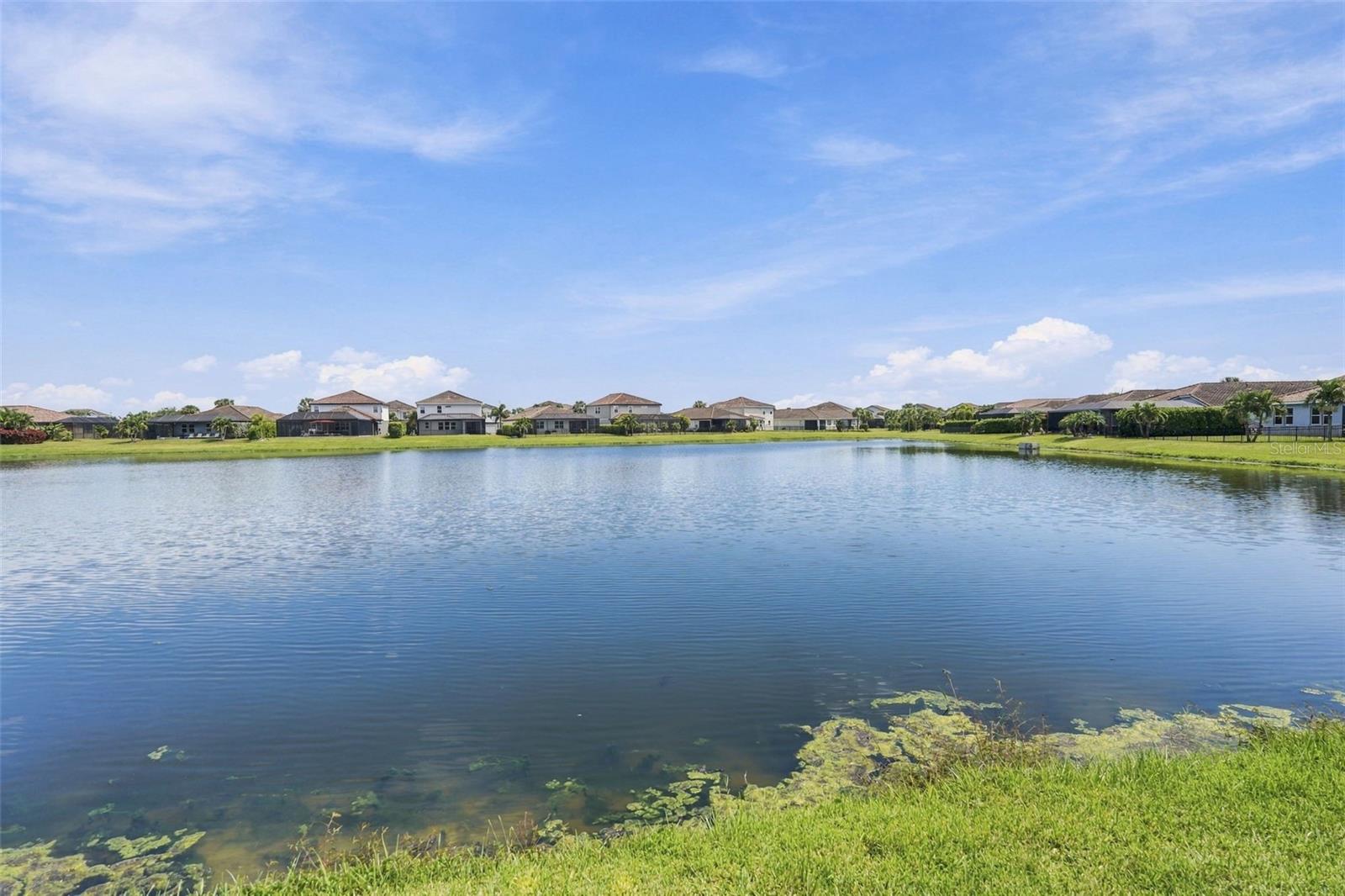 13316 SAW PALM CREEK TRL — photo 36