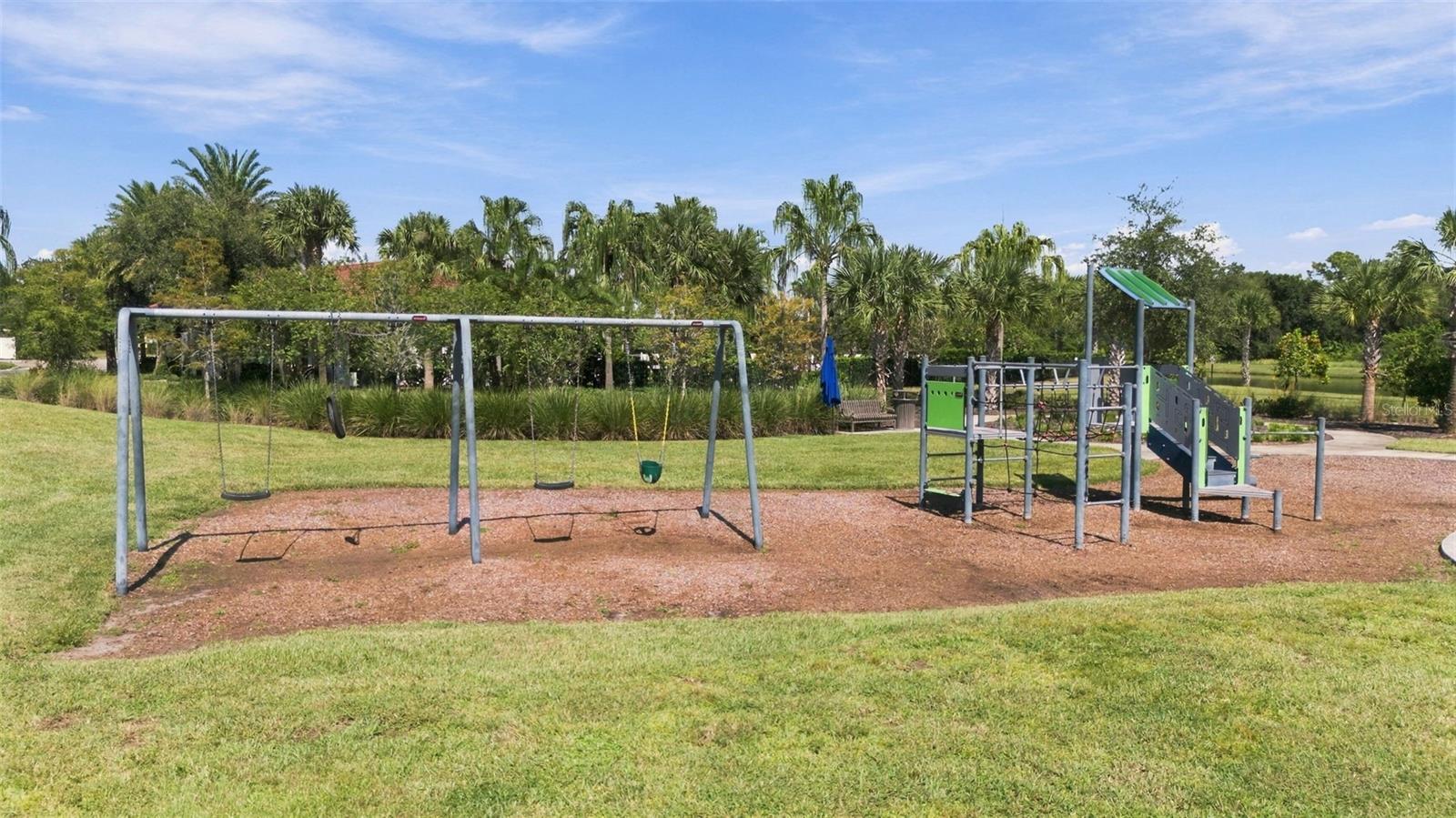 13316 SAW PALM CREEK TRL — photo 46