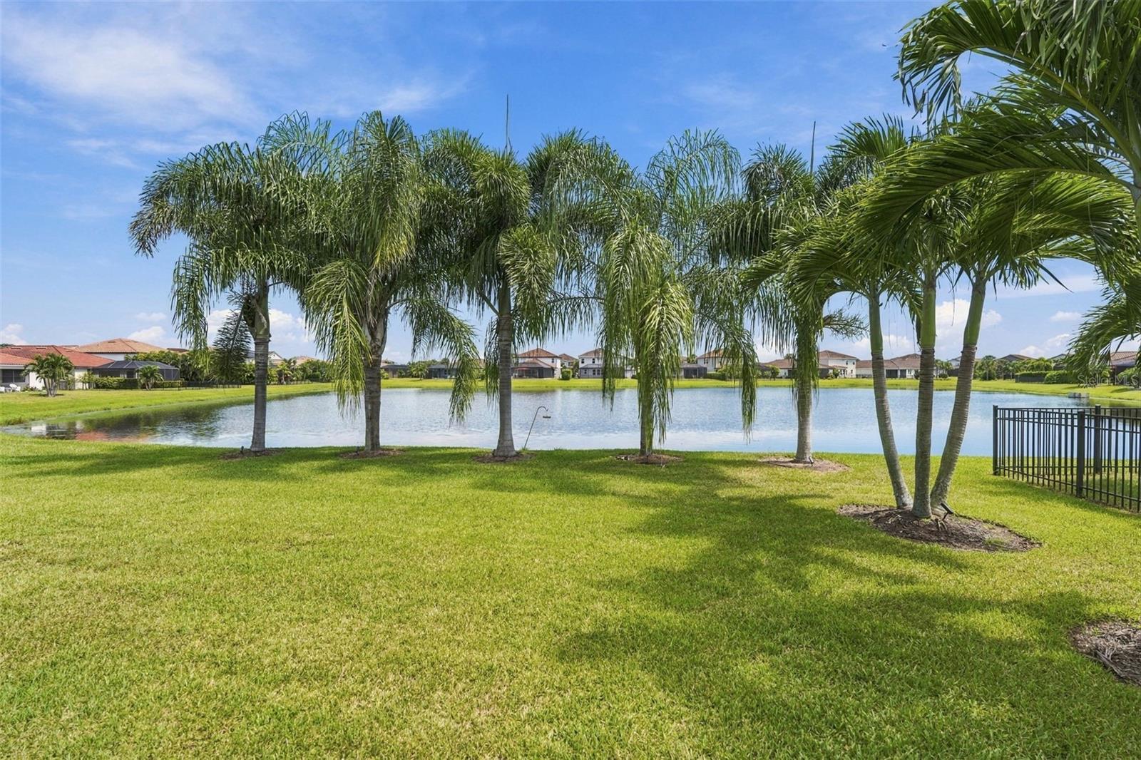 13316 SAW PALM CREEK TRL — photo 39