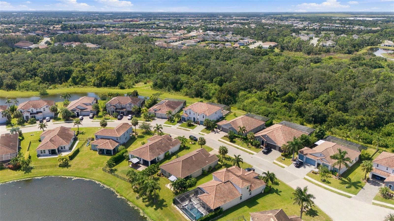 13316 SAW PALM CREEK TRL — photo 50