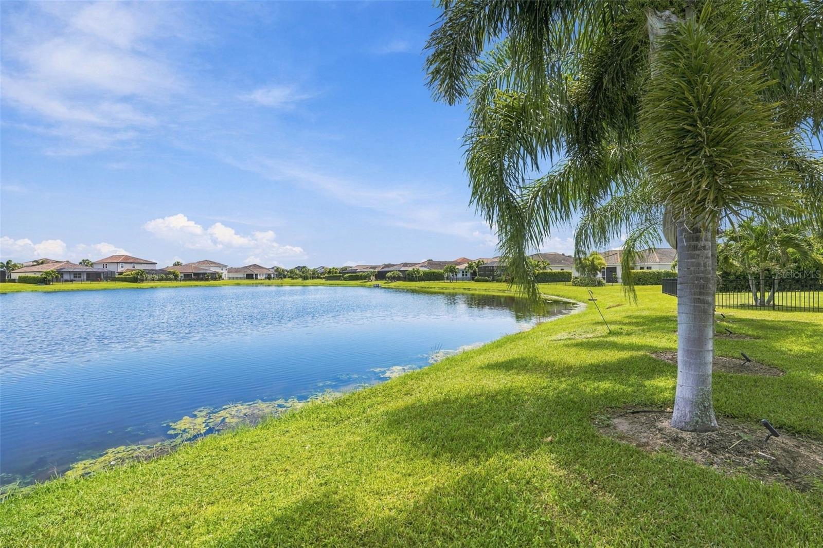 13316 SAW PALM CREEK TRL — photo 38