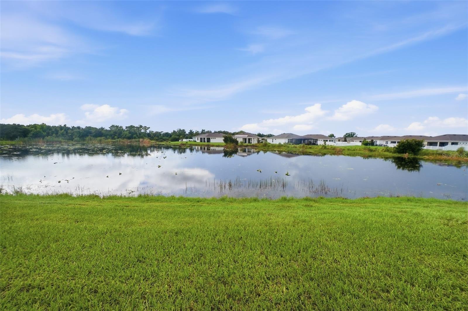 11727 TETRAFIN DR — photo 56