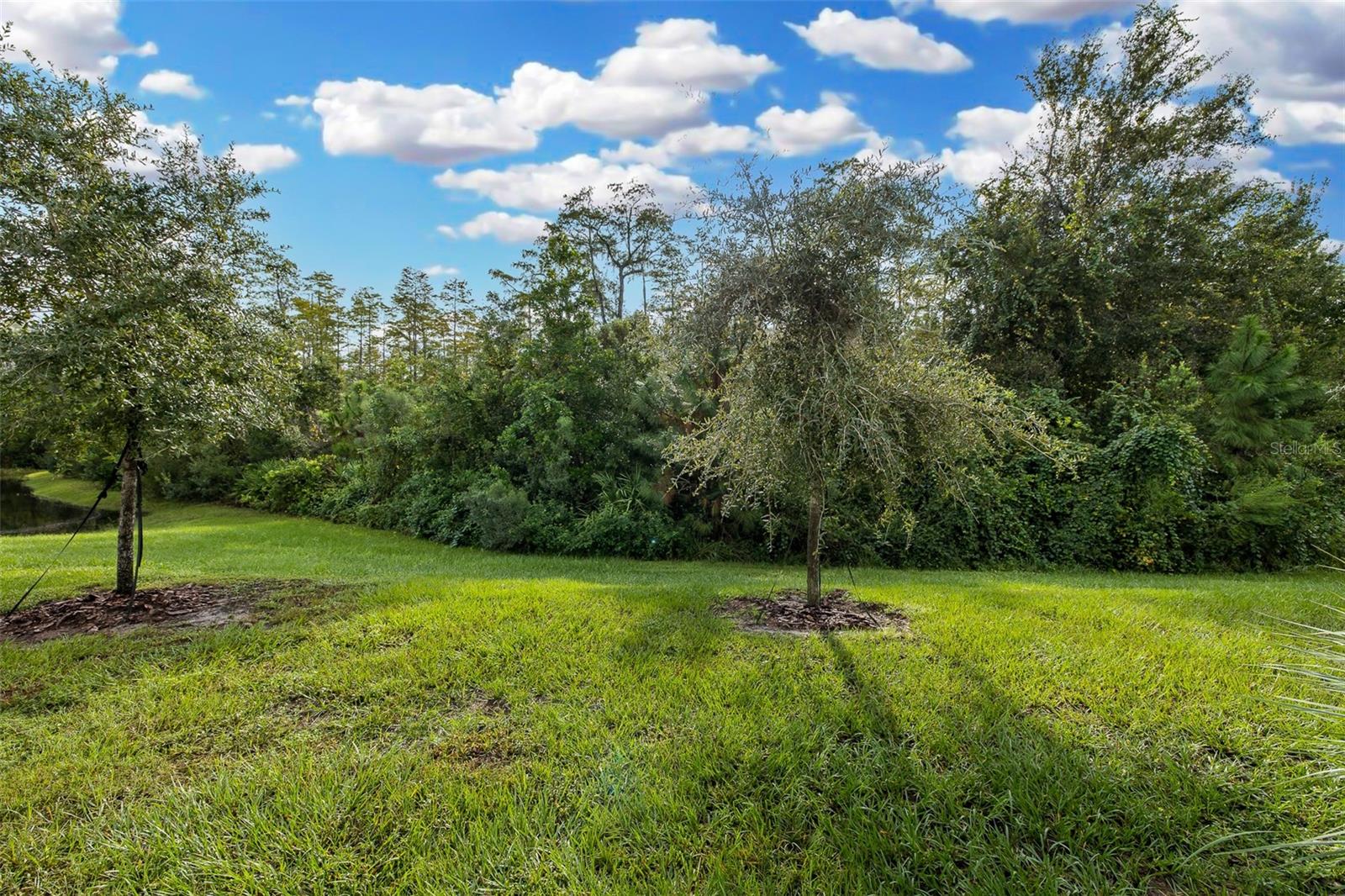 11166 CRESCENT DEER DR — photo 10