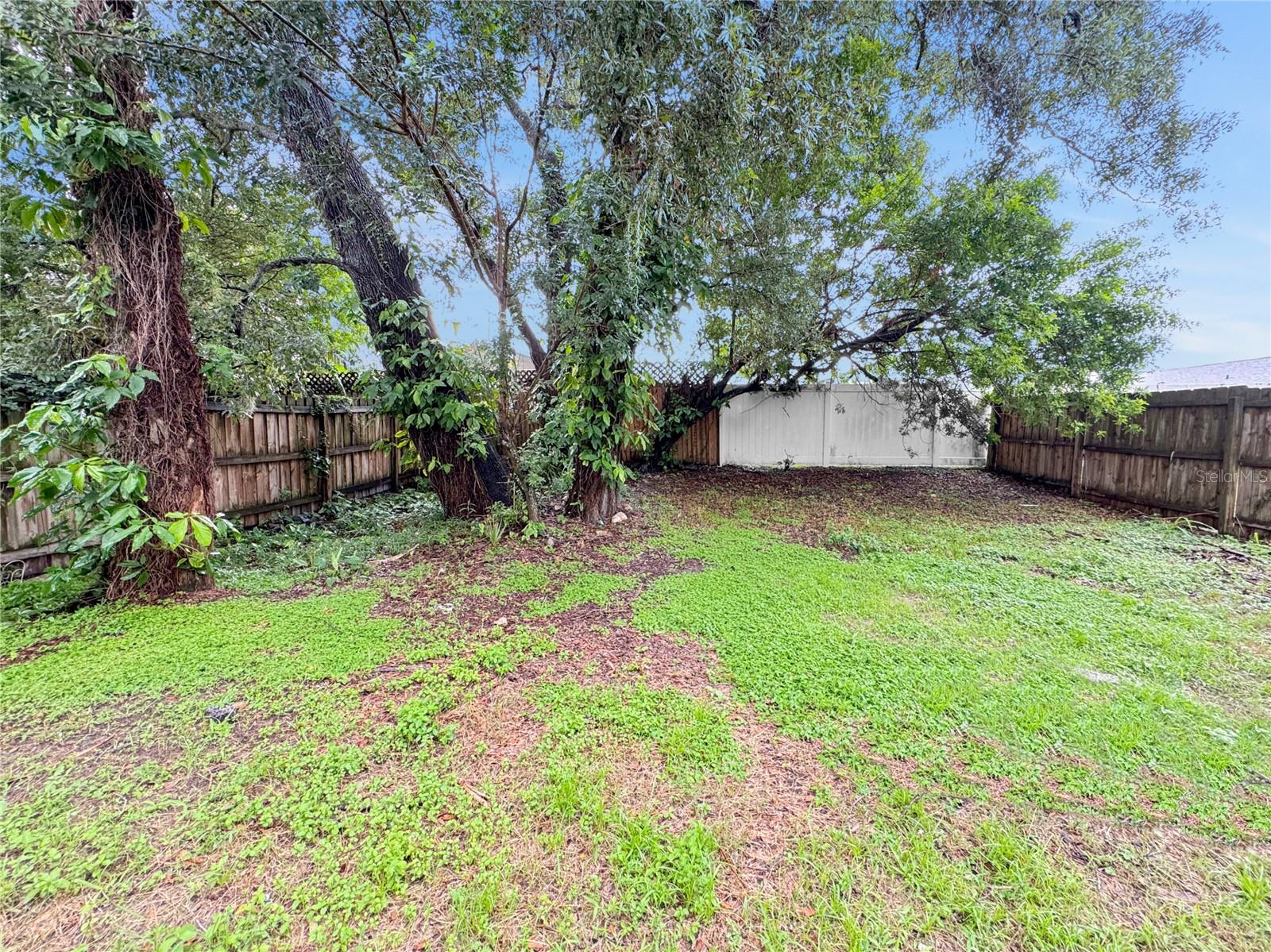 2213 E EMMA ST — photo 17
