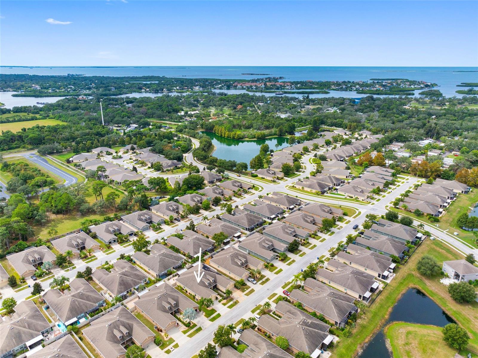 2232 PARROT FISH DR — photo 46