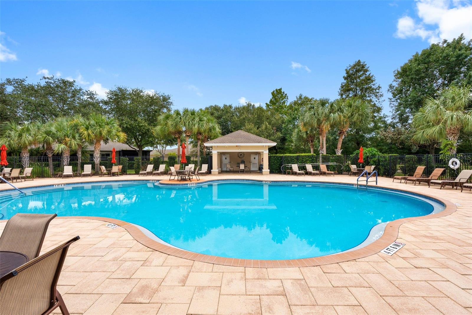 2232 PARROT FISH DR — photo 12
