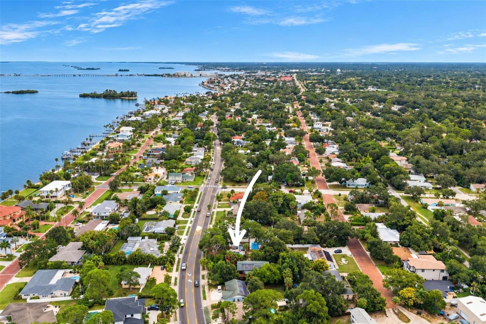 1559 BAYSHORE BLVD — photo 25