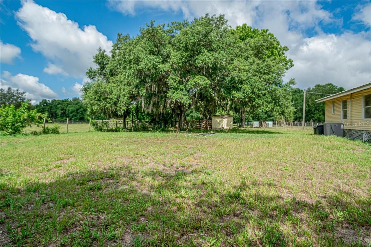 33608 MANDRAKE RD — photo 32