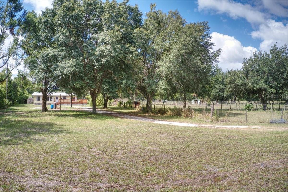 33608 MANDRAKE RD — photo 25