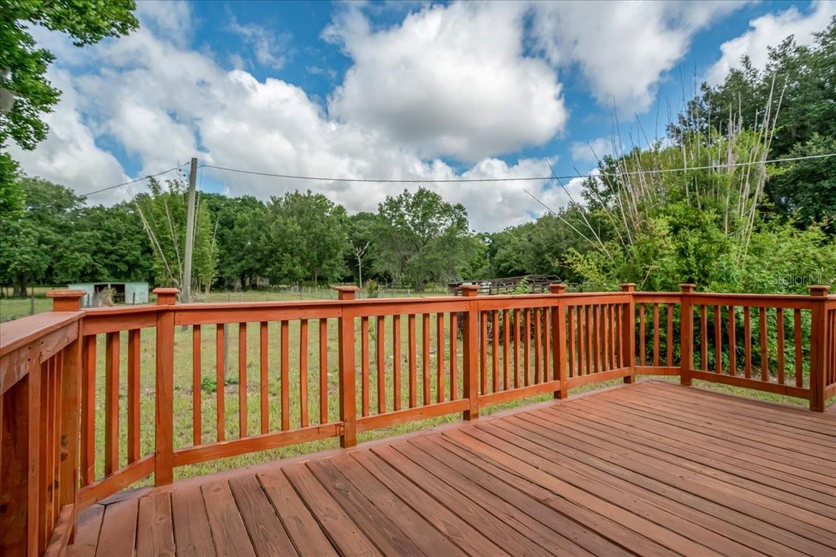 33608 MANDRAKE RD — photo 21