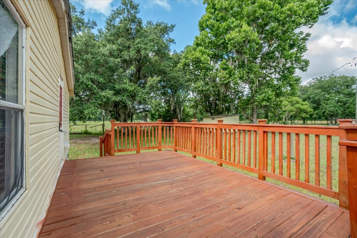 33608 MANDRAKE RD — photo 22