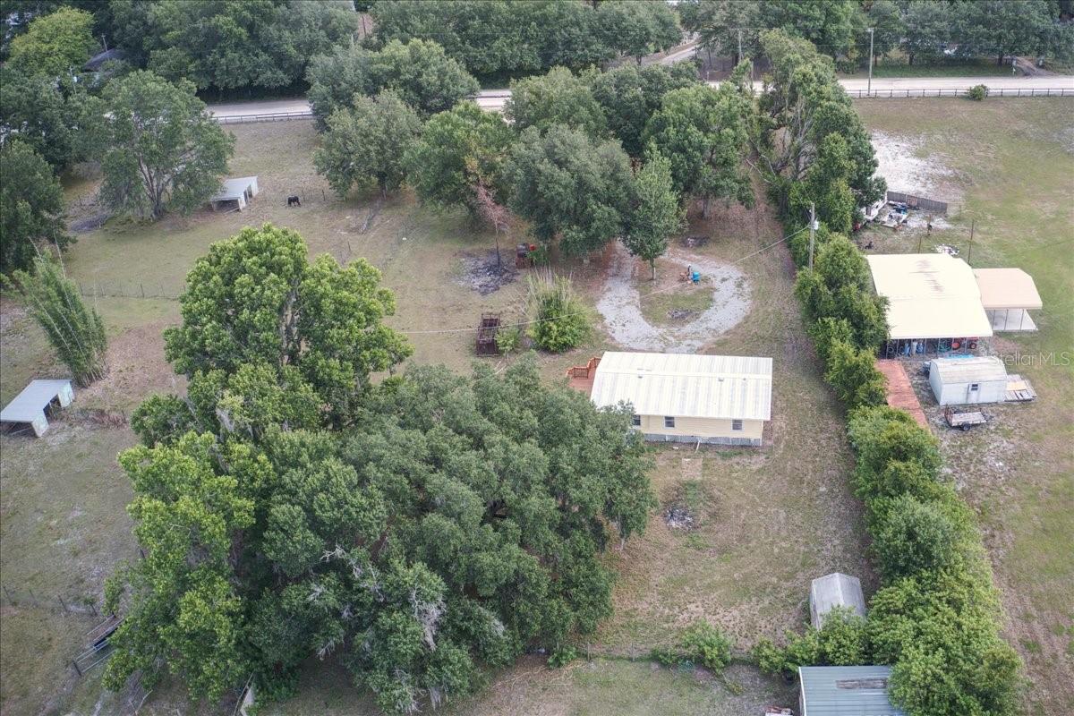 33608 MANDRAKE RD — photo 26