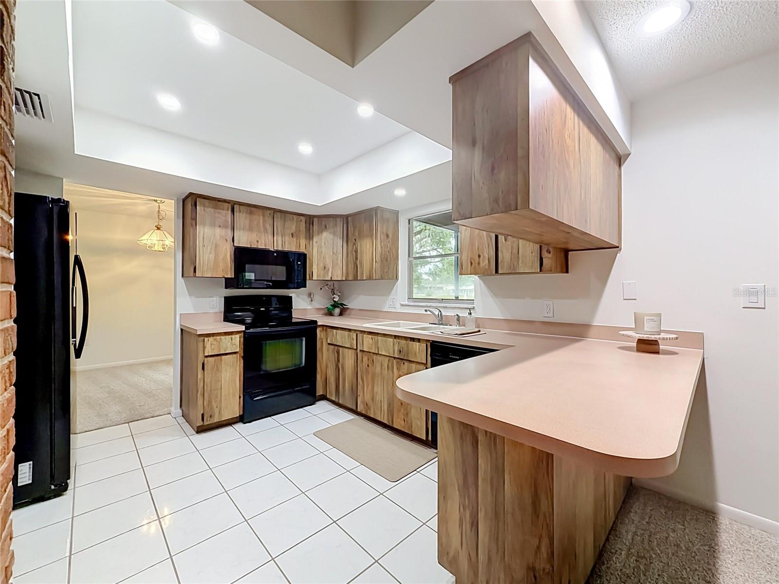 10617 SEMINOLE FOREST ST E — photo 11