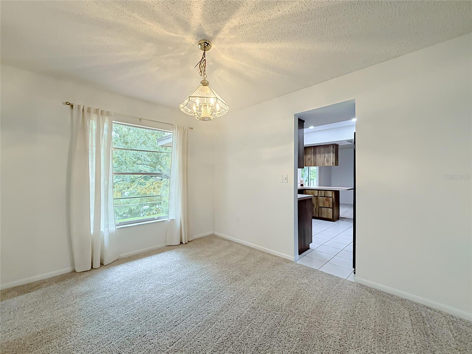 10617 SEMINOLE FOREST ST E — photo 10