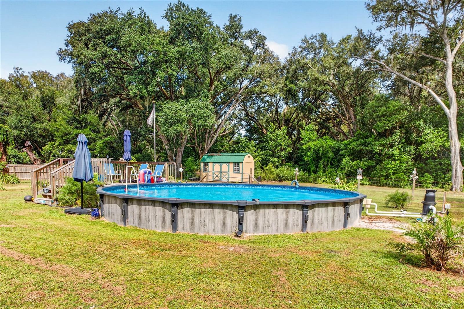 39607 LOUISE DR — photo 41