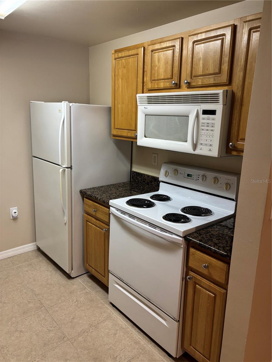 5459 BENTGRASS DR #2-303 — photo 5