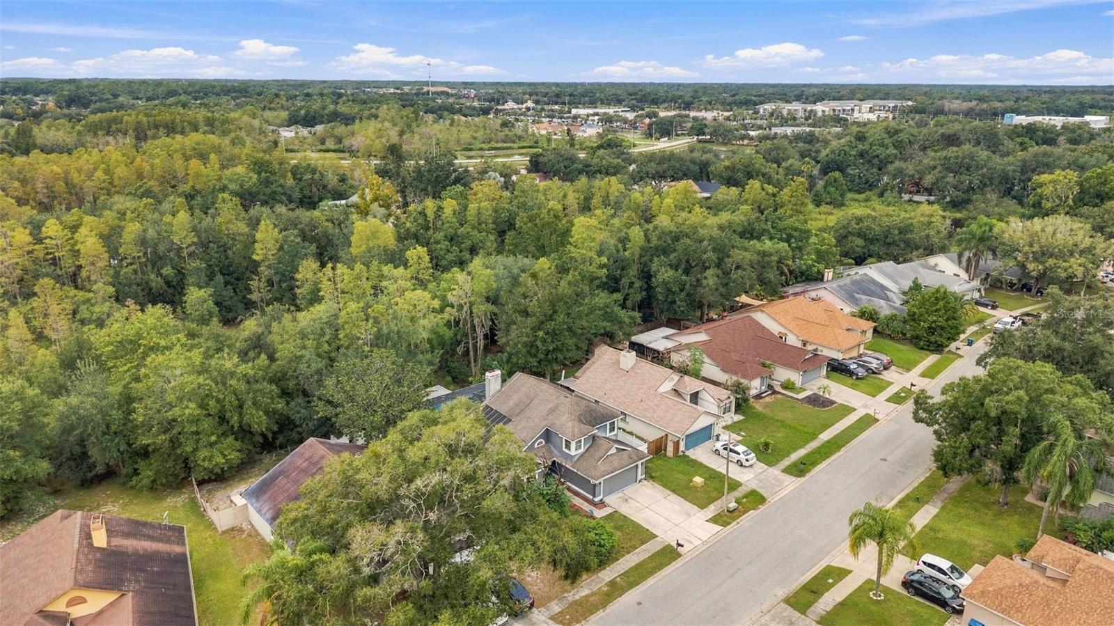 1621 SPINNING WHEEL DR — photo 20