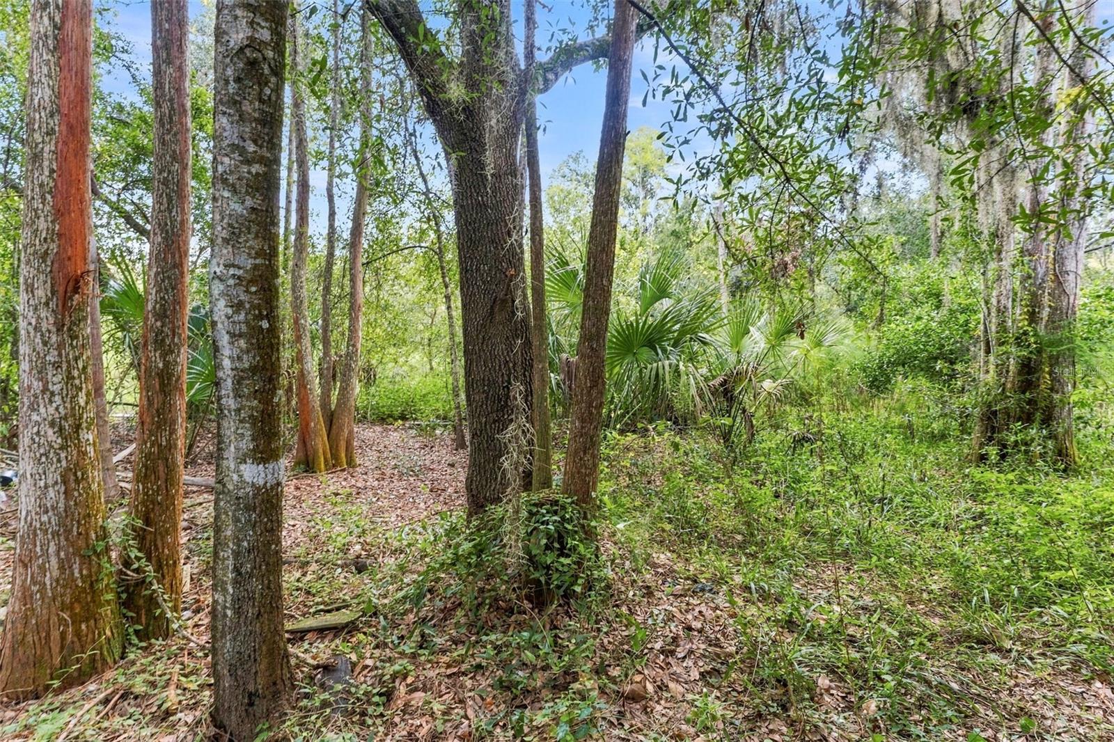 1621 SPINNING WHEEL DR — photo 19