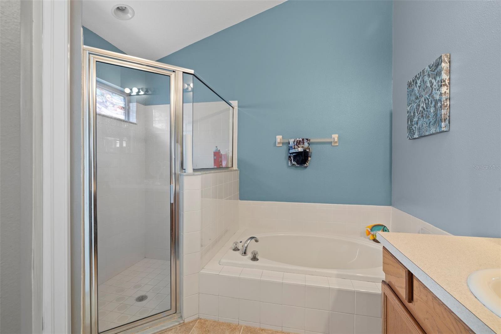 7831 STONELEIGH DR — photo 22