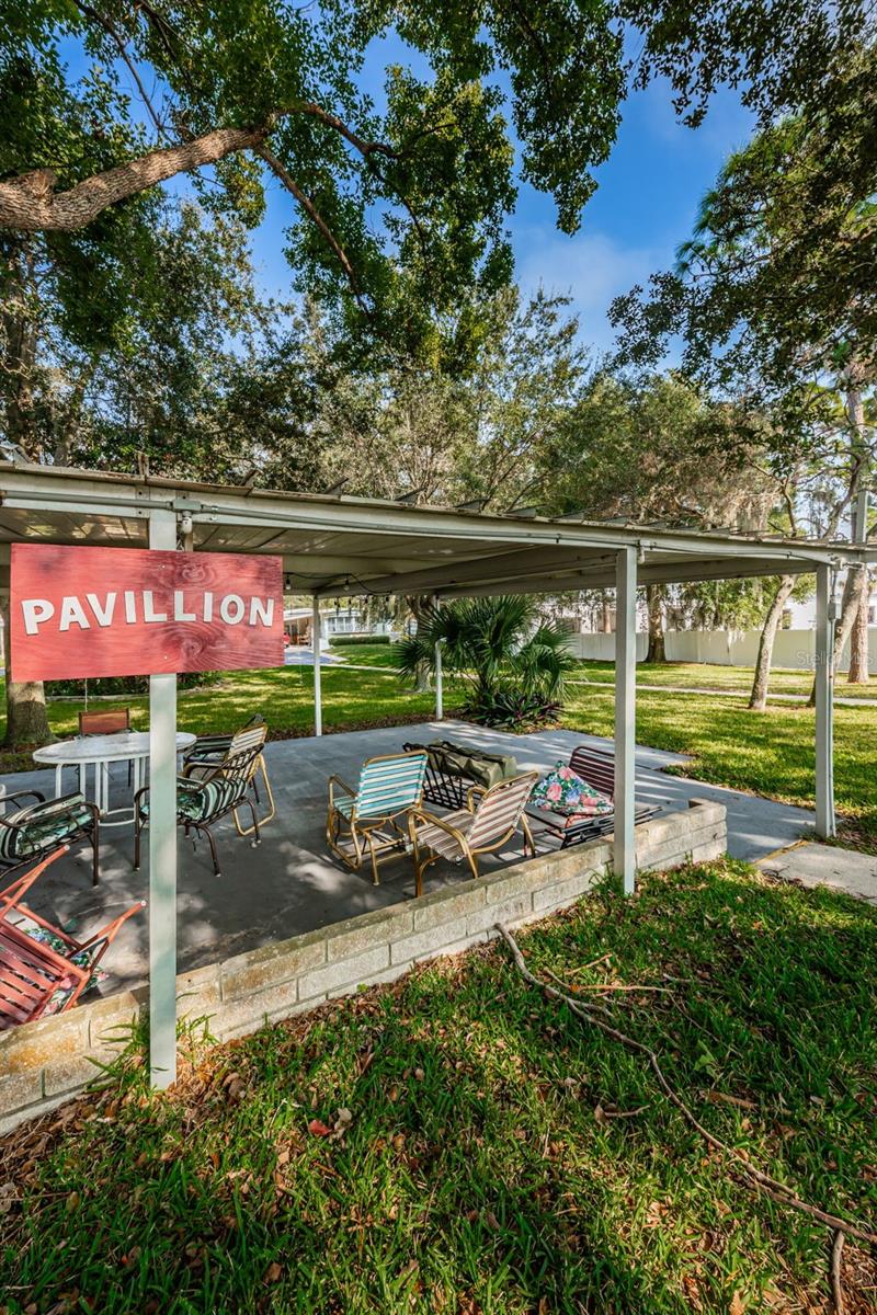 39820 US HIGHWAY 19 N #160 — photo 65