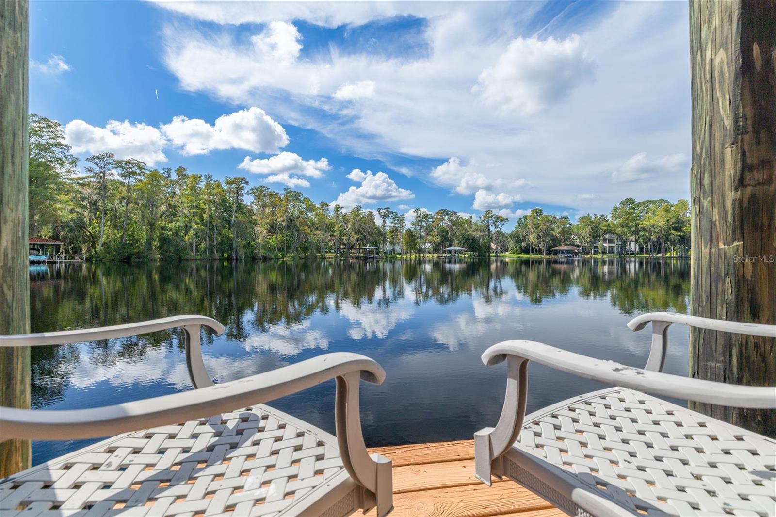 16203 SENTRY WOODS CT — photo 37