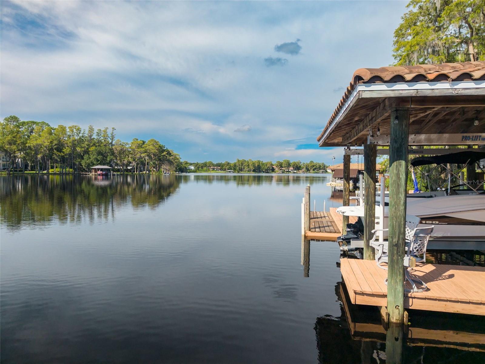 16203 SENTRY WOODS CT — photo 38
