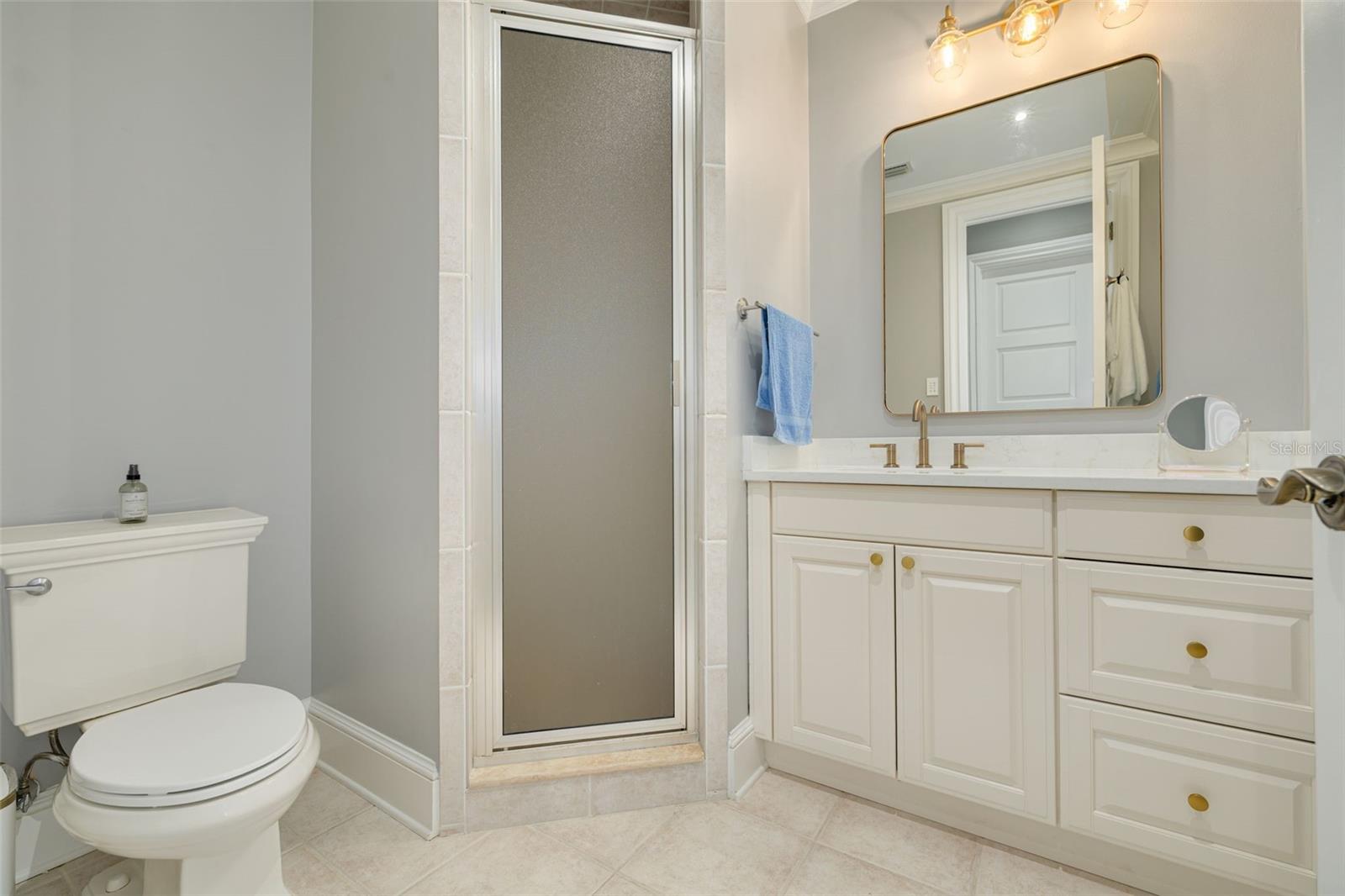 16203 SENTRY WOODS CT — photo 72
