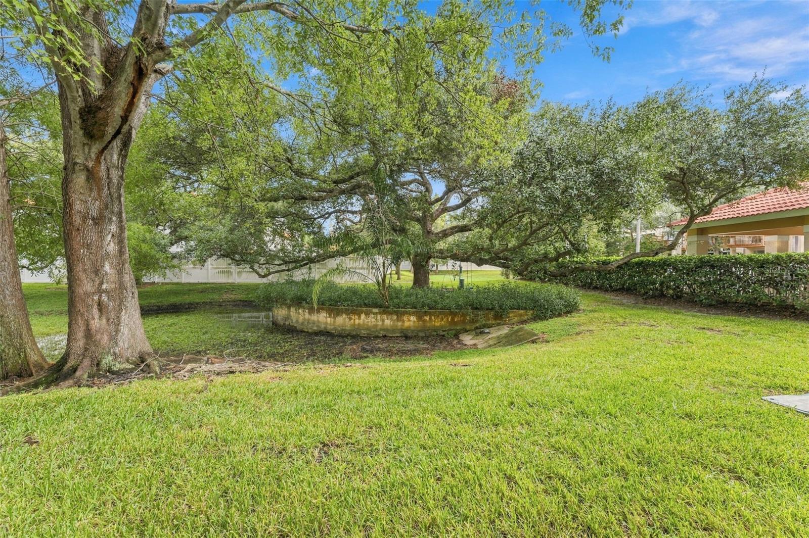 3121 BAYSHORE OAKS DR — photo 27