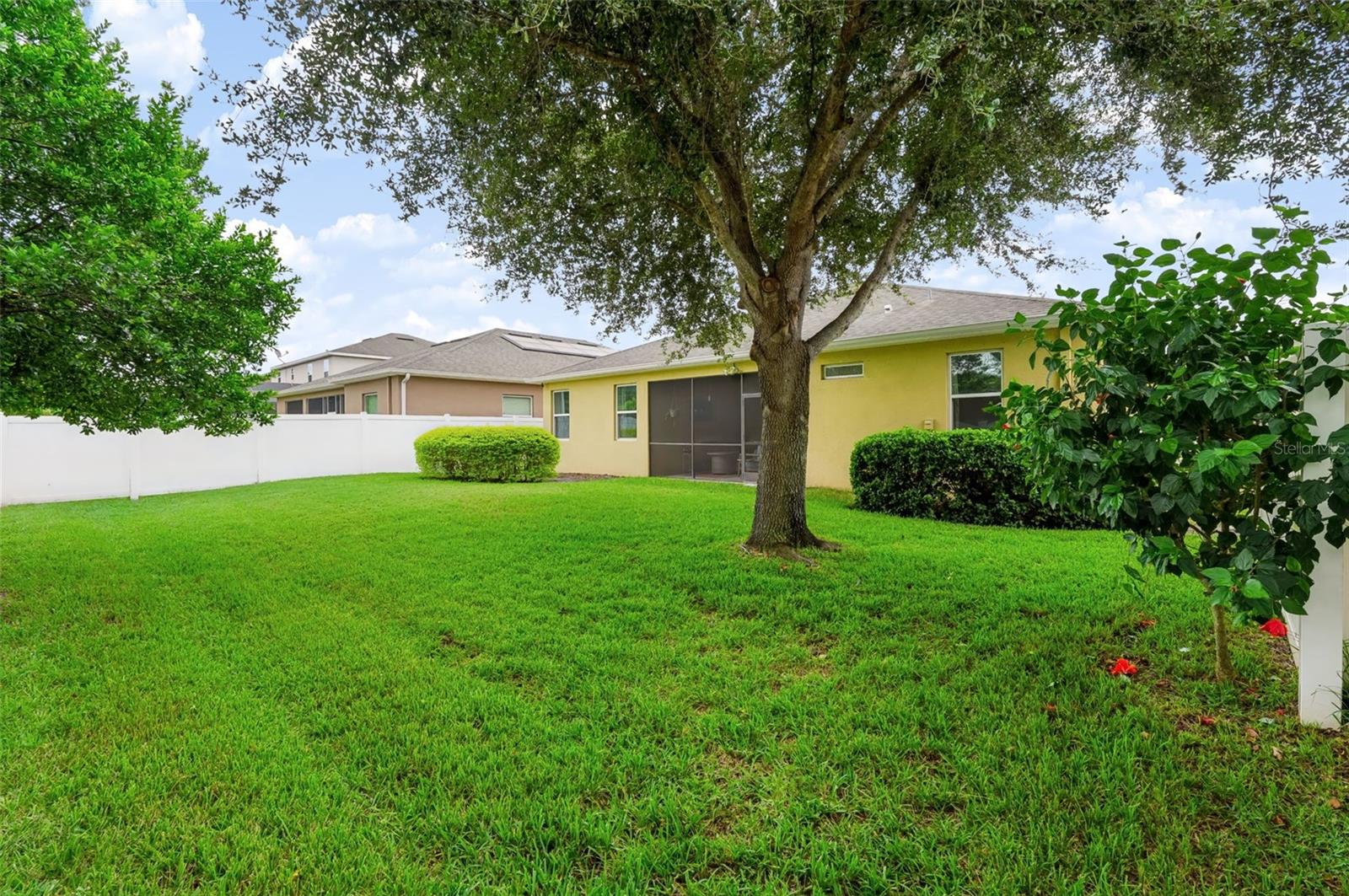 13436 CANOPY CREEK DR — photo 28