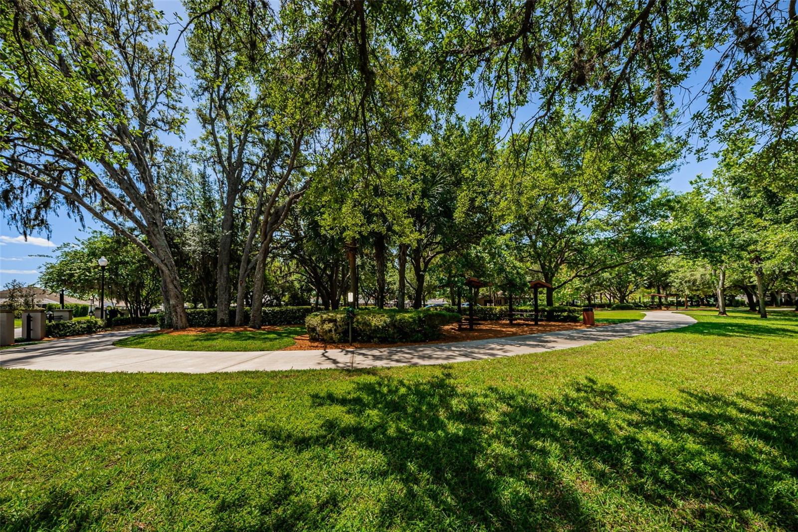 10440 TECOMA DR — photo 80